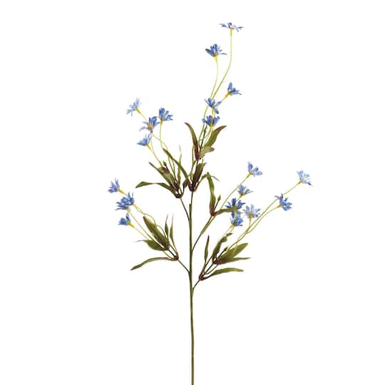 Wild Daisy Spray by Ashland®